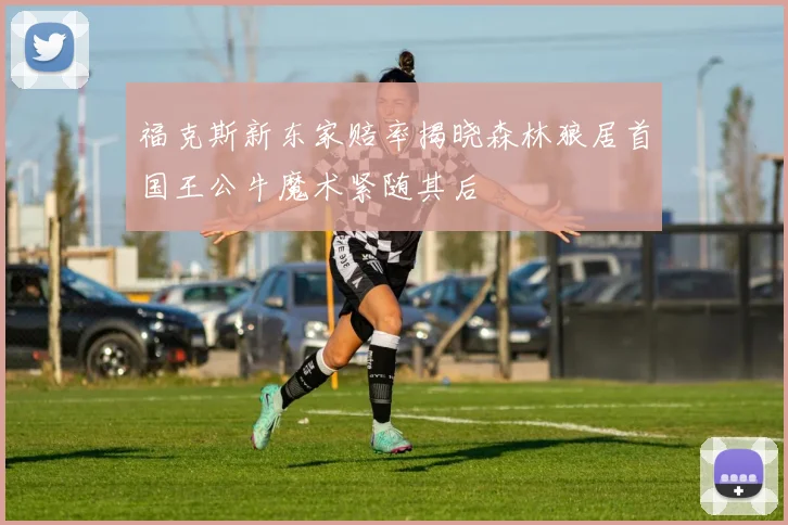 福克斯新东家赔率揭晓森林狼居首国王公牛魔术紧随其后